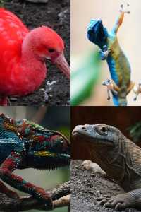 London Zoo: A Photographer's Paradise!