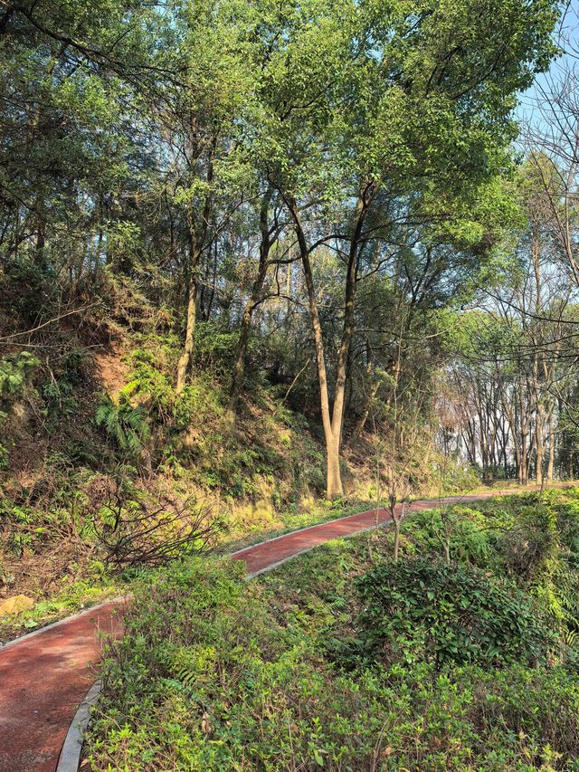 桃花嶺山脊線-嶽麓山穿越