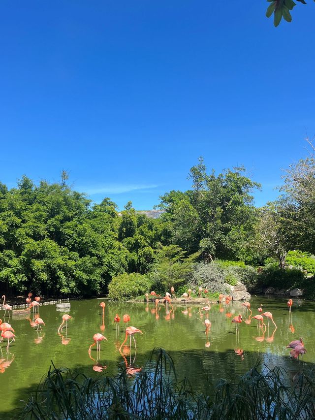 寒假越南8日遊 超詳細攻略來襲