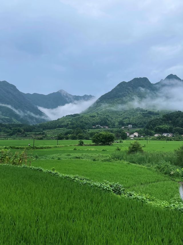 皖南318：在青山綠水間，遇見心動的每一公里