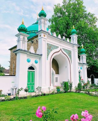 Hidden Gem Near London: Woking Travel Guide