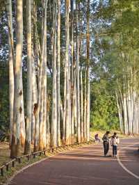 南寧公園｜柳沙公園超好玩，周末遛娃首選！