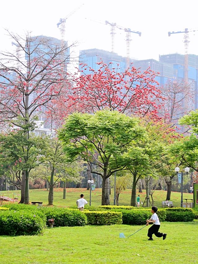 廈門南湖公園四季五彩繽紛，休閒好地方！