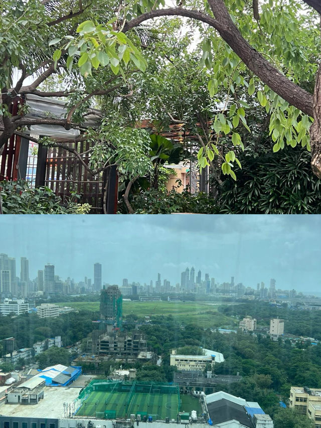哥打吉禮｜邂逅南印的綠野仙蹤