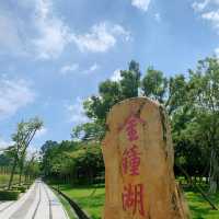 唔系京都❗️系中山‼️值N刷嘅公園 中山公園天花板