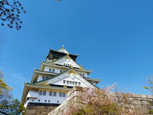 Osaka Cherry Blossom Viewing Guide｜4 Days and 3 Nights of Pink Romance