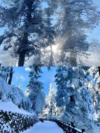 Waoshan Is More Cost-Effective Than Changbai Mountain