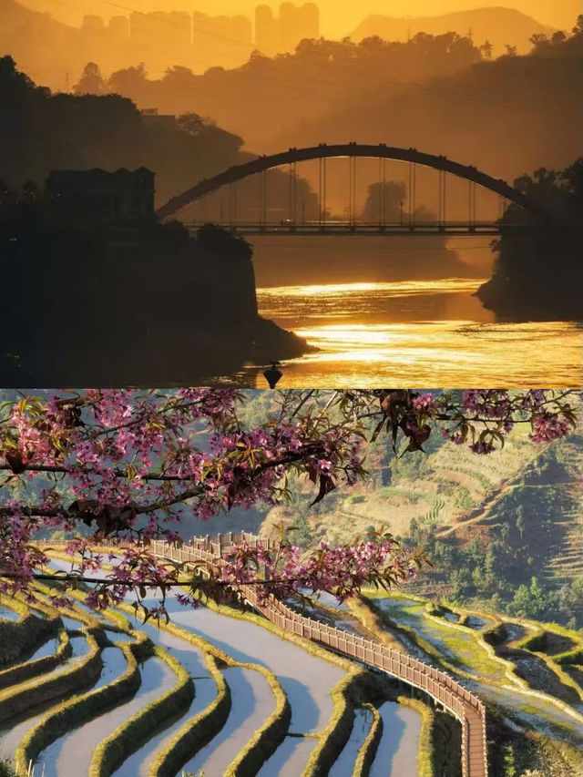 去了3次攀枝花，總結出來的攻略。