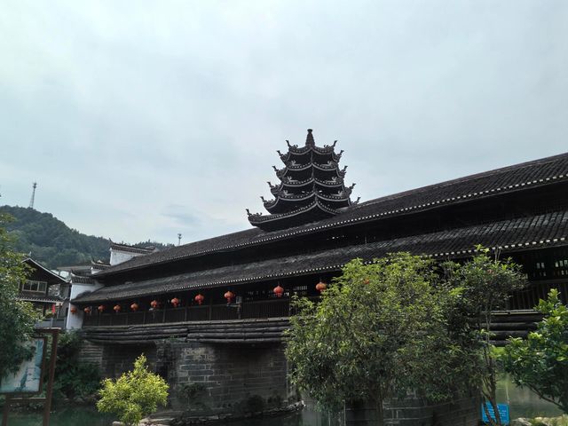 邵陽｜黃桑就像綠色暴擊，這才是未開發的人間仙境