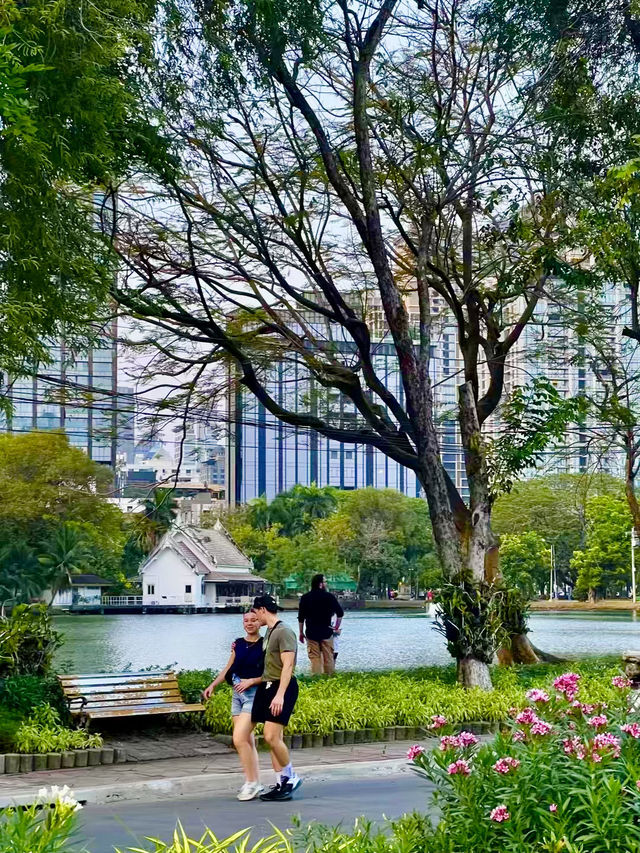 Bangkok’s Green Heart: Springtime Strolls in Lumphini Park