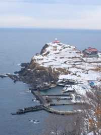 日本6天遊 小長假出行正當時