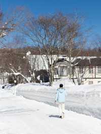 東京近郊｜雪國森林長野兩日遊攻略