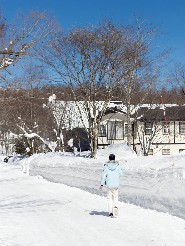 東京近郊｜雪國森林長野兩日遊攻略