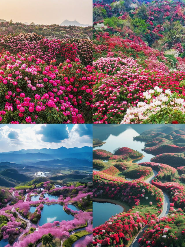接下來的貴州，是萬萬次的人間春色