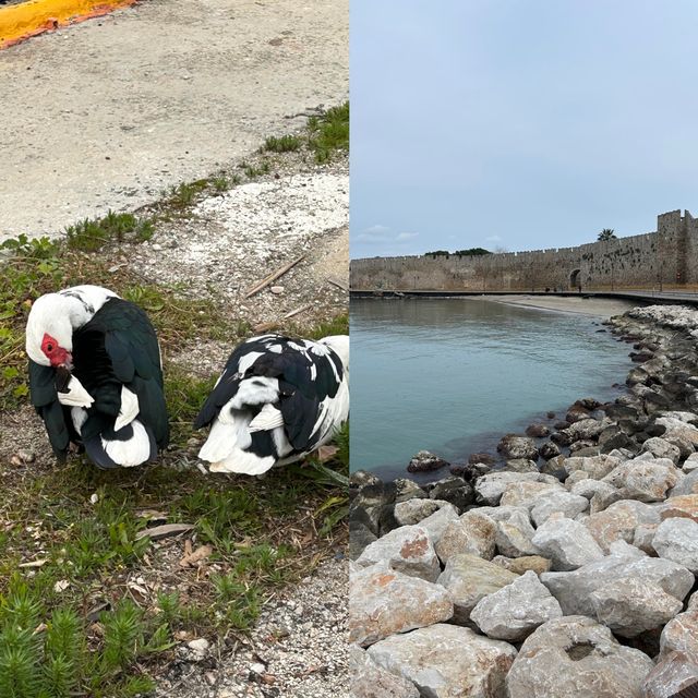 帕羅斯島旅遊攻略