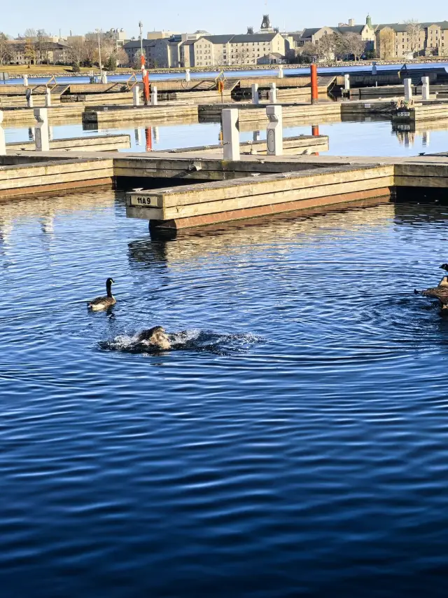짧은 연휴에 캐나다 등 여러 나라를 여행하는 완벽 가이드