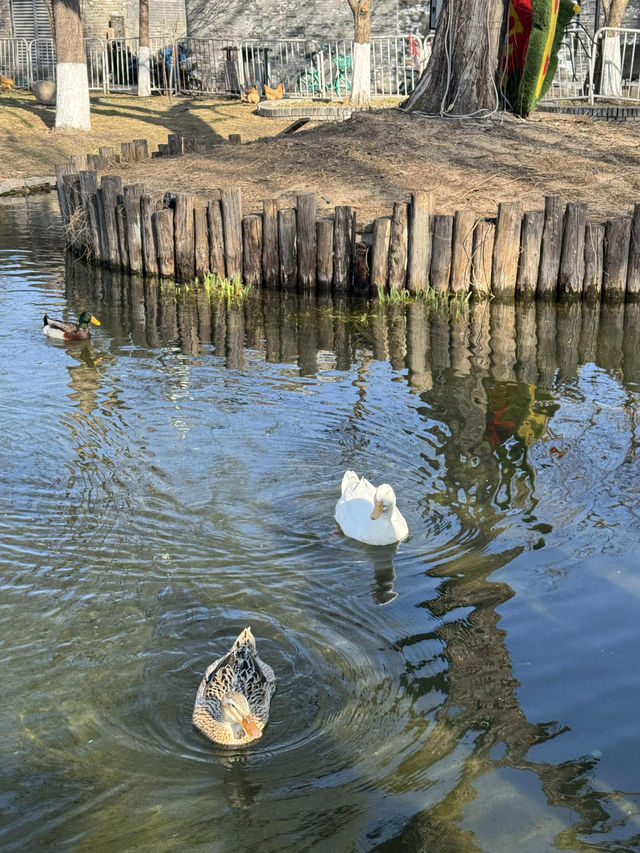 北京三里河公園