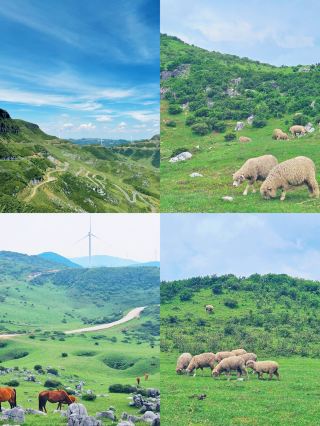 Recommended Niche Tourist Attractions in Bijie, Guizhou