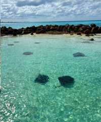 拿騷下船，展開 Blue Lagoon Island 的小眾海島奇遇