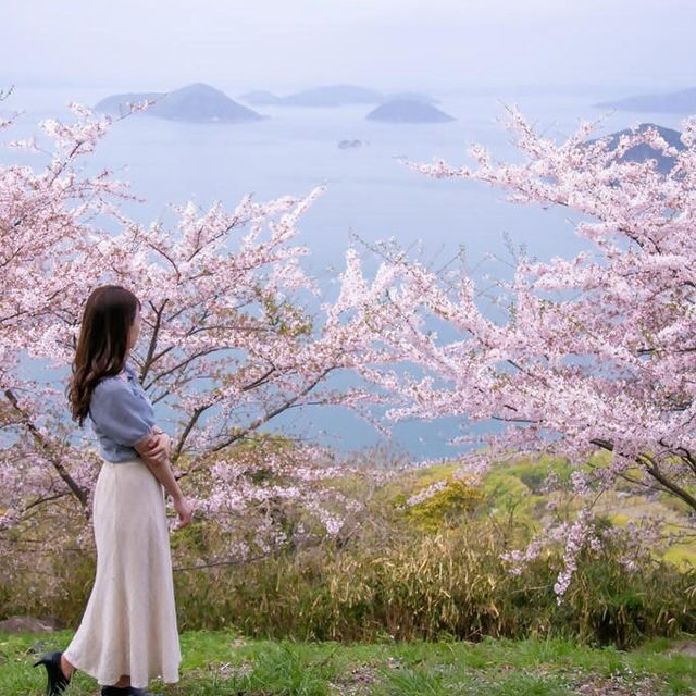 日本櫻花盛開啦！隨手一拍都是人生美照🌸