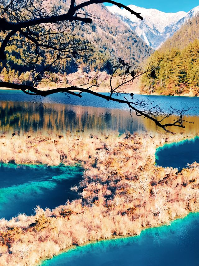 九寨溝—藏在川西的人間仙境密碼 簡直就是保姆級攻略 快來看吧