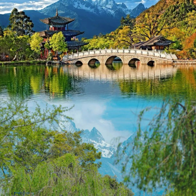 Spring Exclusive! A Guide to Experiencing the Spring in Lijiang Old Town
