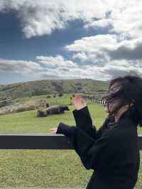 在陽明山感受心無外物的旅行：從擎天崗到小油坑