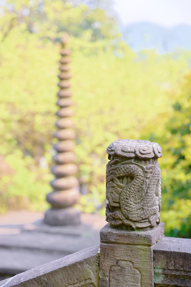 咪走寶！隱藏喺西湖邊嘅寶藏公園！
