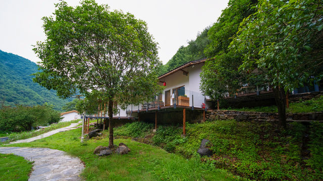 山間民宿 | 一方榻榻米，半日閒雲野鶴