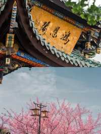 來鴻恩寺，邂逅花與禪意的浪漫約定