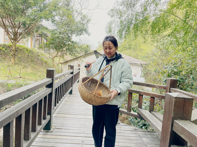 去安吉竹林放空一下吧！