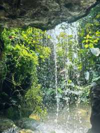 鄭州｜植物園｜中原綠意秘境與自然奇觀