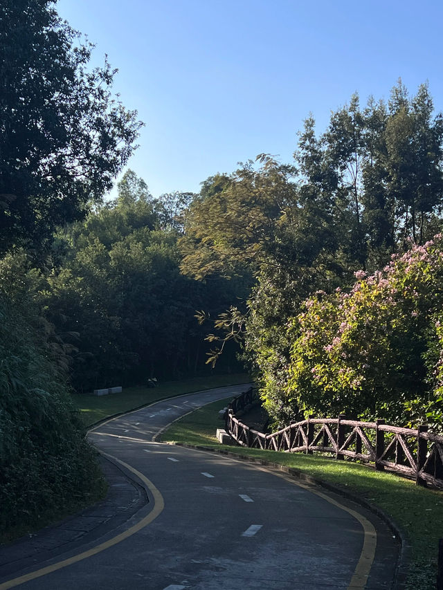 銀湖山郊野公園環山公路徒步攻略🌳🚶‍♂️