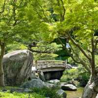 🌸【福岡大濠公園慢遊｜晚櫻與藝術交織的春日治癒時光】