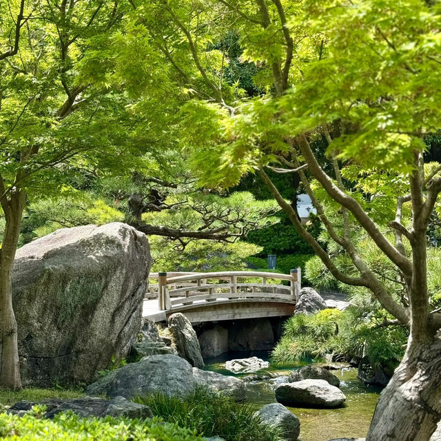 🌸【福岡大濠公園慢遊｜晚櫻與藝術交織的春日治癒時光】
