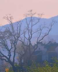 闖入黃山秘境！在悅榕莊把日子過成詩