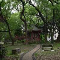五一別再人擠人！來中山香樟公園吸氧撒歡🌳