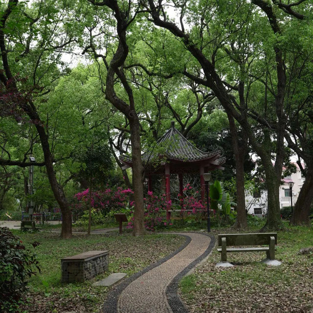 五一別再人擠人！來中山香樟公園吸氧撒歡🌳