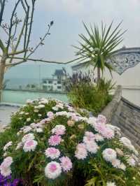 洱海騎行住進漫畫裡｜才村碼頭神仙民宿