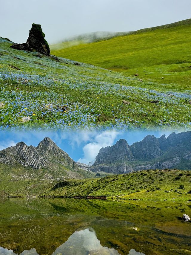 五月等我哋奔向昆明嘅「雲端花海牧場」