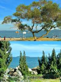 廈門旅遊攻略 | 奔赴一場浪漫海濱之約