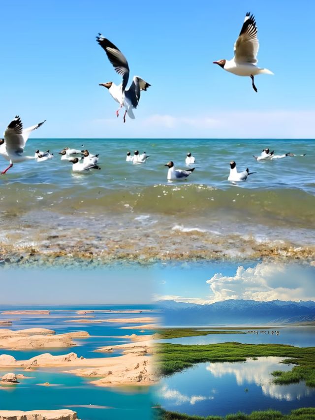 一眼萬年嘅青海湖｜治癒系旅行天花板