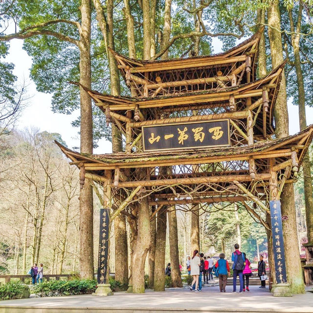 青城山探秘！吸氧洗肺必衝攻略🌲