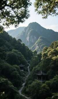 點樣喺莫干山享受一個完美週末