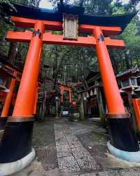 大阪出發，京都奈良一日遊跟團攻略