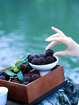 여요 양매 시즌, 놓치면 1년을 기다려야 해요! 초여름 한정 달콤함