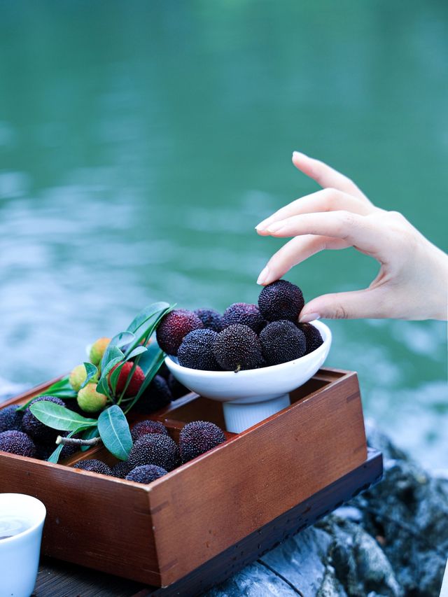 余姚楊梅季，錯過再等一年！初夏限定甜蜜