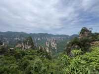 Magical 4 days in Zhangjiajie Park 