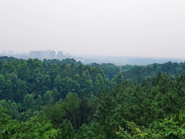 被低估嘅冷門行山地！邛崃白鶴山