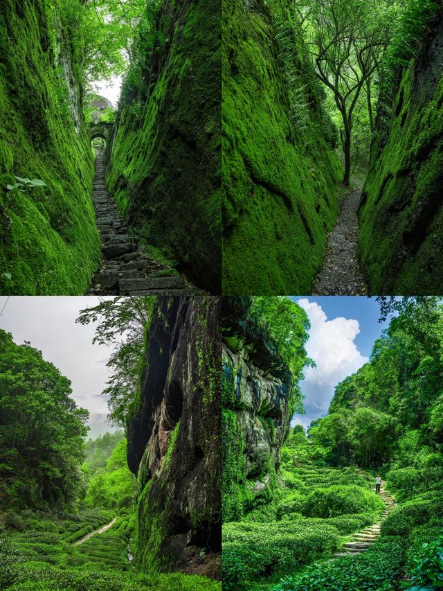 不上天遊峰，武夷山等於白走；不坐竹筏，等於白來！